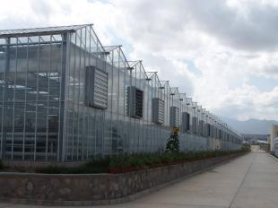 福建廈門玻璃溫室大棚 現(xiàn)代農(nóng)業(yè)技術(shù)的農(nóng)副產(chǎn)品生產(chǎn)典范