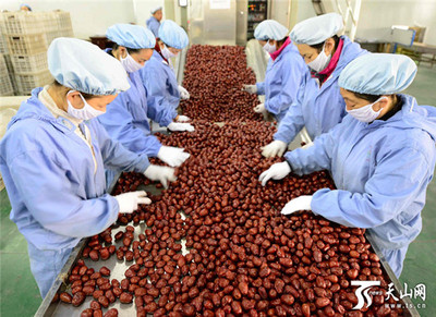 新疆阿拉爾墾區(qū) 紅棗嚴(yán)格分級(jí)打造品牌，助推農(nóng)副產(chǎn)品升級(jí)